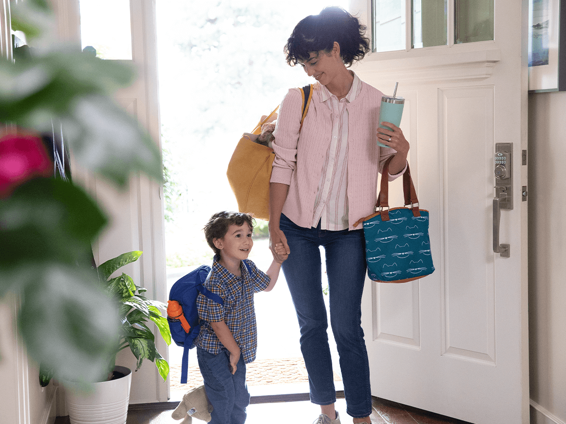 Carbon Monoxide Detectors California Smart Home Pro